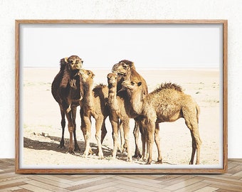 Camel Art Print, Desert Animal Print, Camel Photography, Boho Prints Nursery, Modern Boho Poster, Printable Wall Art, Moroccan Decor, Dubai
