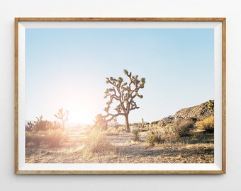 Desierto impresión desierto pared arte Joshua impresión impresión arte de pared suroeste impresión, decoración Boho, impresión de la puesta del sol, Arizona imprimir fotografía del desierto