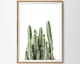 Cactus Print Cactus Wall Art Digital Download Desert Cactus Succulent Print Boho Nursery Decor Cactus Photography Printable Wall Art Poster