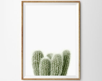 Cactus Wall Art Cactus Print Succulent Print Boho Nursery Decor Desert Cactus Print Cactus Photography Printable Wall Art Boho Print Poster
