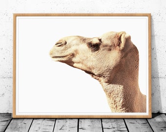 Camel Art Print, Desert Animal Print, Digital Download, Boho Prints Nursery, Modern Boho Poster, Dubai, Printable Wall Art, Moroccan Decor