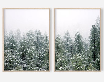 Winter Prints Set Christmas Wall Decor Winter Wall Art Landscape Print Winter Photography Evergreen Trees Holiday Forest Snow Wall Art Print