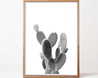 Cactus Print, Succulent Print, Digital Download, Printable  Wall Art, Scandinavian Boho Nursery Decor, Desert Cactus Poster, Cactus Photo