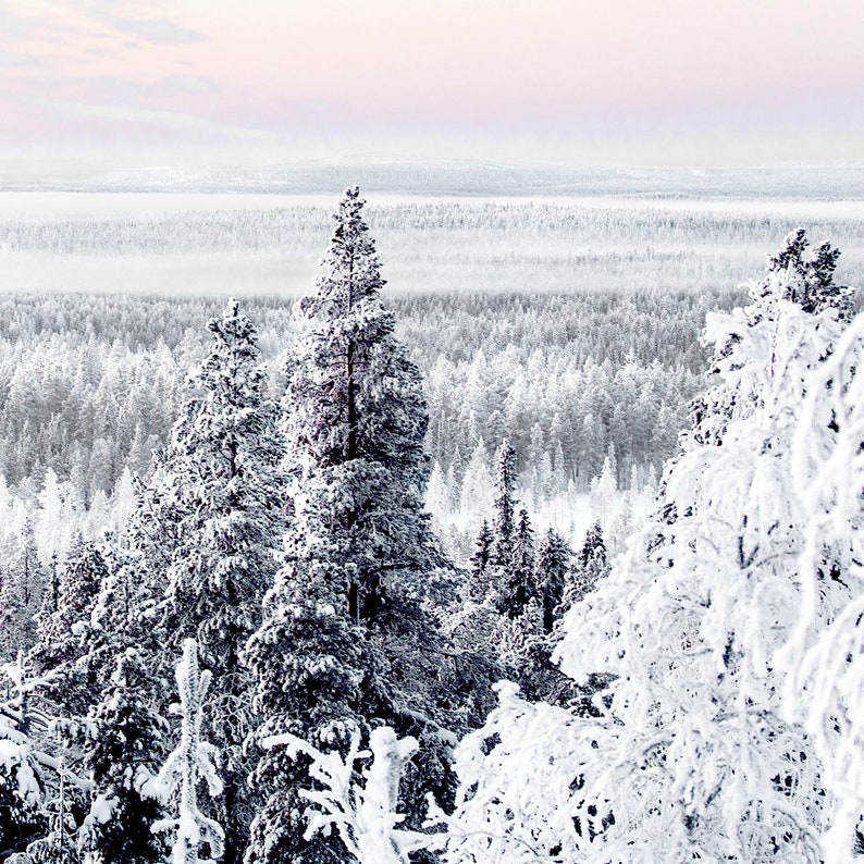 Winter Wall Art Winter Prints Set Winter Photography Etsy