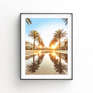 May include: A photograph of a city street lined with palm trees, with a reflection of the trees and the setting sun in a puddle on the ground.