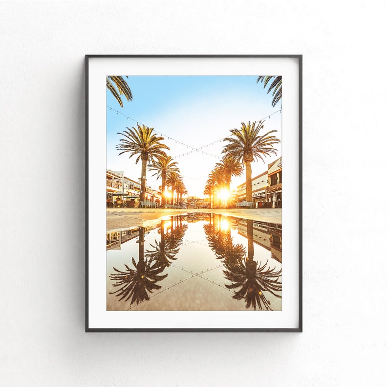 May include: A photograph of a city street lined with palm trees, with a reflection of the trees and the setting sun in a puddle on the ground.