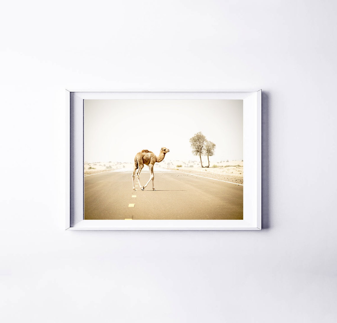 Camel Print Camel Wall Art Desert Animal Print Camel | Etsy