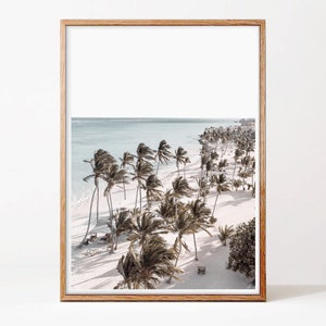 May include: An aerial view of a tropical beach with palm trees swaying in the wind. The white sand beach is lined with palm trees and the turquoise ocean is in the background.