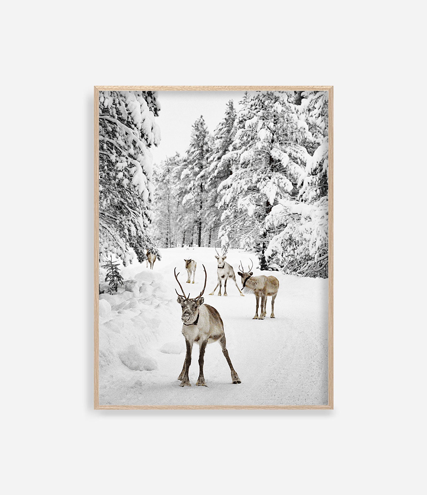 Reindeer Wall Art main image 1