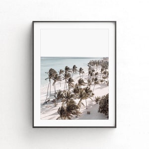 May include: An aerial view of a white sandy beach with palm trees and turquoise water. The palm trees are swaying in the wind and the water is sparkling in the sun.