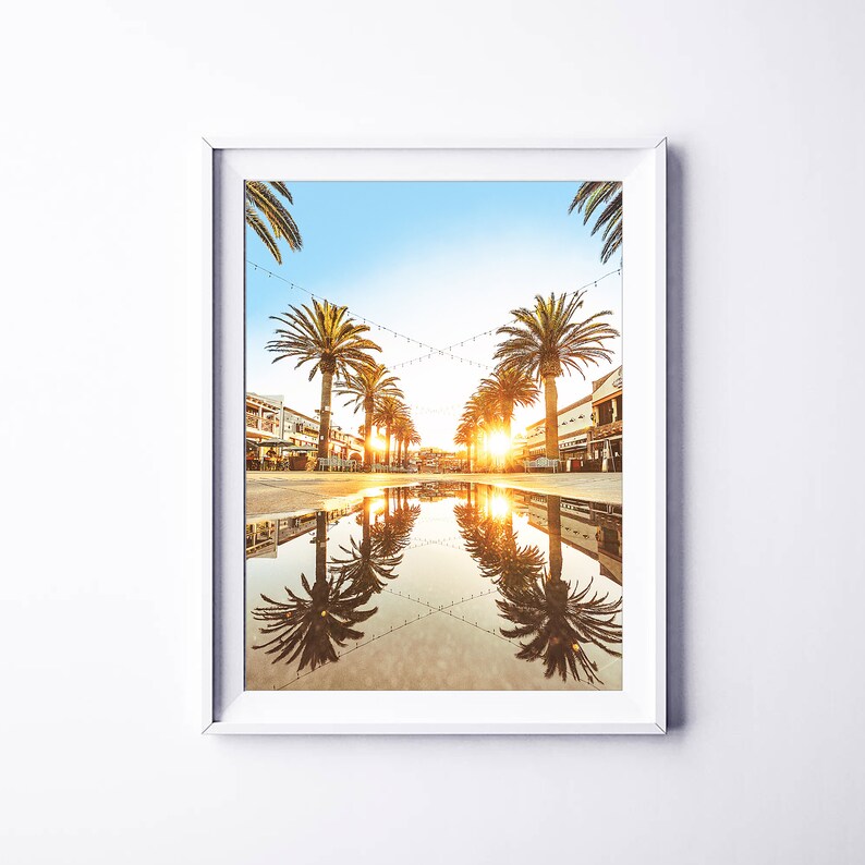 May include: A photograph of a street lined with palm trees, with a reflection of the trees in a puddle of water. The sun is shining brightly, and the sky is a clear blue.
