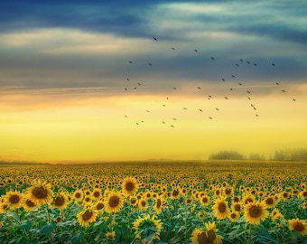 Ukrainian Landscape Print Sunflowers Ukraine wall art Ukraine Print Sunflowers Print Ukraine Shops Peace for Ukraine,  Digital file download
