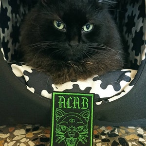 Può includere: Toppa ricamata nera e verde con un viso di gatto e il testo "ACAB all cats are beautiful".