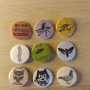 Può includere: Nove spille rotonde con vari disegni di insetti e animali. Le spille sono bianche con testo e immagini nere. Il testo sulle spille recita "ACAB", "ALL CENTIPEDES ARE BEAUTIFUL", "ALL COCKROACHES ARE BEAUTIFUL", "ALL CATS ARE BEAUTIFUL" e "EAT THE RICH".