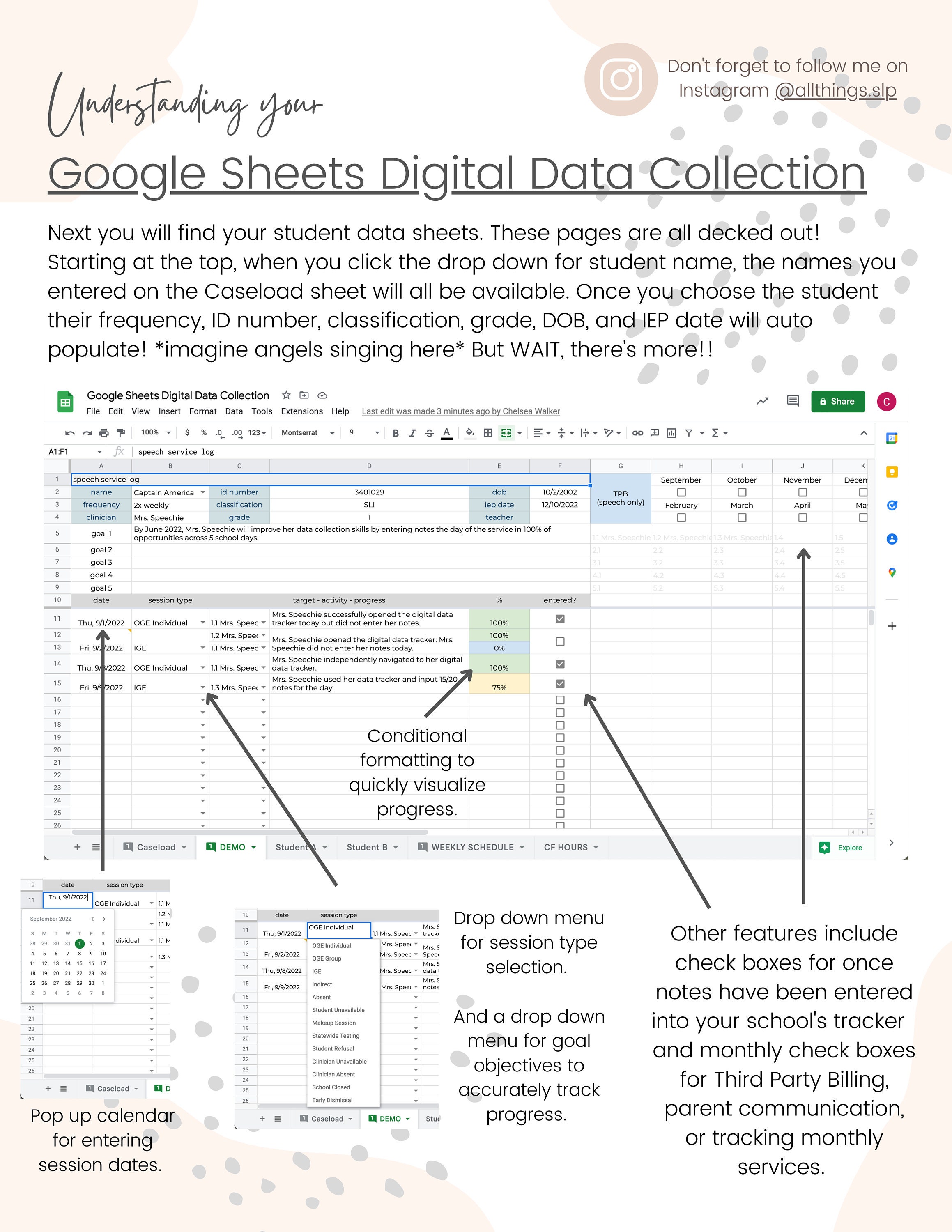 Digital Data Collection (EXCEL and GOOGLE SHEETS) - Etsy