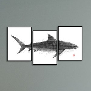 PRINTABLE Tiger Shark Poster Set of 3 Ocean Creature Ballpoint Pen Drawing Wall Art Bedroom Decor Office Housewarming Gift INSTANT DOWNLOAD