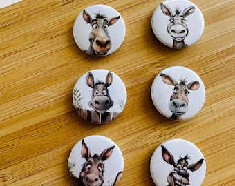 Set - Funny Donkeys - Magnet / Button