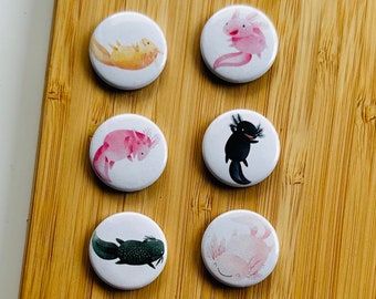 May include: Six round white buttons with colorful illustrations of axolotls. The axolotls are depicted in various poses and colors, including pink, yellow, black, and green.