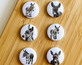 Set - little donkey - magnet / button