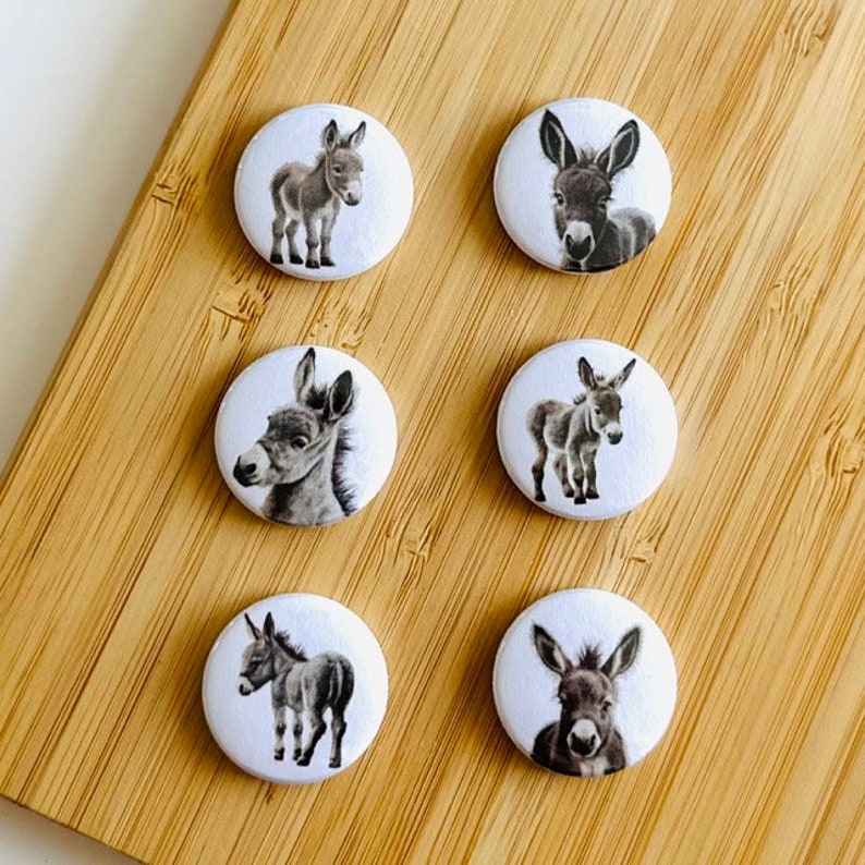 Set little donkey magnet / button image 1