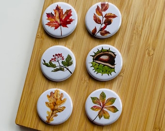 Set - Autumn 1 - Magnet / Button