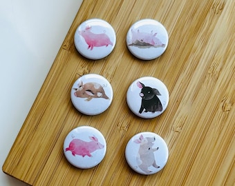 Set - sweet little pigs - Magnet / Button