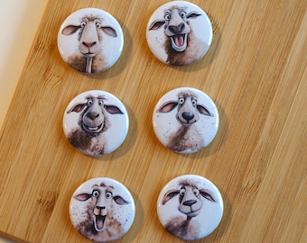 Set - Funny Sheep - Magnet / Button