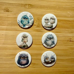 Può includere: Sei bottoni rotondi bianchi con diverse immagini di uccelli dei cartoni animati con espressioni arrabbiate. Gli uccelli sono dipinti in tonalità di blu e grigio.