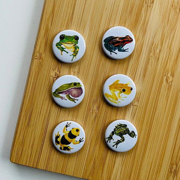 Set - Frogs - Magnet / Button