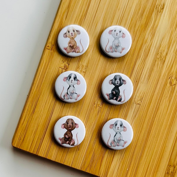 Set - little Rats - Magnet / Button