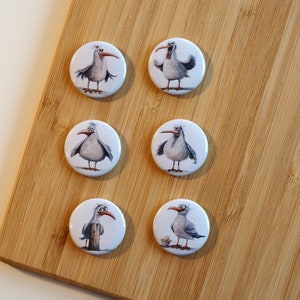 Könnte beinhalten: Sechs runde weiße Knöpfe mit Comic-Möwen darauf. Die Möwen sind alle in verschiedenen Posen und mit unterschiedlichen Gesichtsausdrücken. Die Knöpfe sind perfekt für Bastelarbeiten oder Scrapbooking.