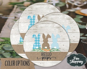 Farmhouse drink coasters Housewarming gift spring coasters bunny coasters