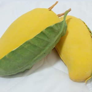 Mango Portemonnaie , Gummi , Geschenk Geburtstag , Geschenk Jahrestag , Weihnachten , Sommer Tasche , Lustig