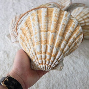 Shell Bags , Rubber , Gift Birthday ,Gift Anniversary , Christmas , Summer bag , Funny bag
