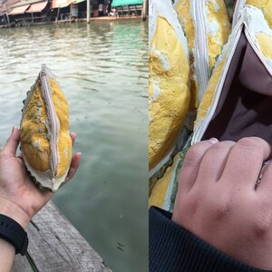May include: A yellow durian fruit purse with a zipper opening. The purse is made from the shell of the durian fruit and has a soft brown lining.