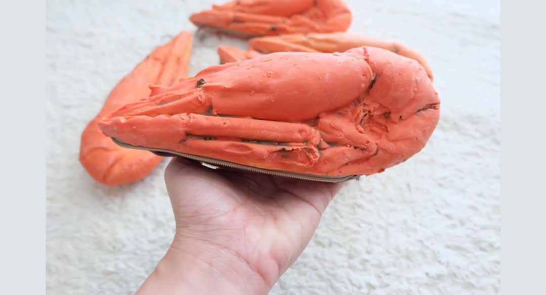 LABUBU 巾着 ピンク Cherry Shrimp Bag Labubu Shrimp Pouch | TikTok