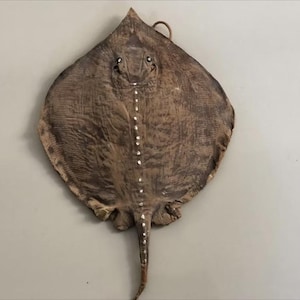 May include: A dried, brown stingray with a long tail. The stingray has a rough, textured surface and white spots.