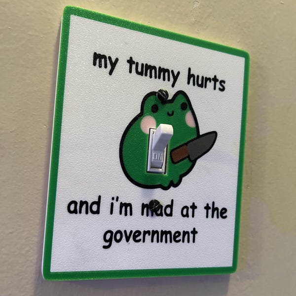 Funny Frog Meme Light Switch Cover | Cute froggy home decor