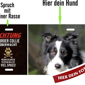 Hundeschild Beispiel: Border Collie Metallschild Türschild Blechschild Warnschild mit eigenem Foto und Text/Spruch Bild 3