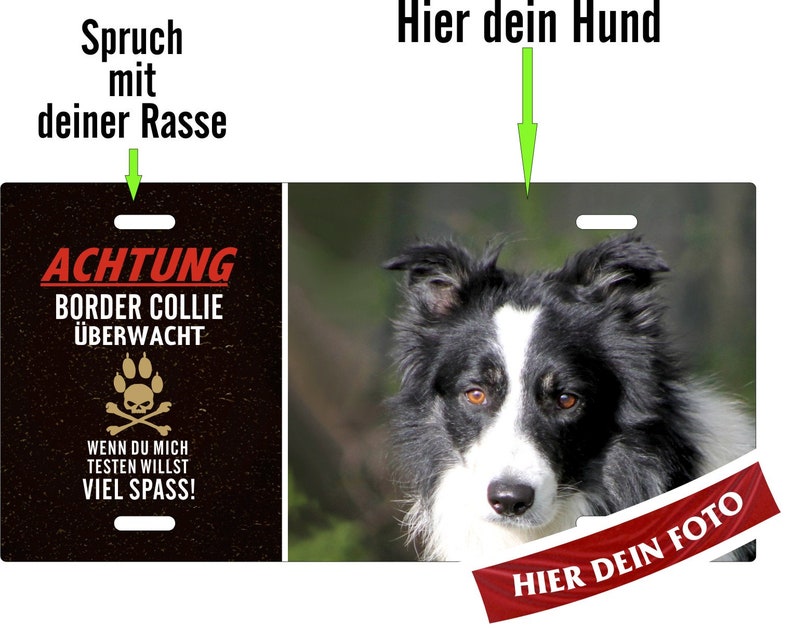 Hundeschild Beispiel: Border Collie Metallschild Türschild Blechschild Warnschild mit eigenem Foto und Text/Spruch Bild 3