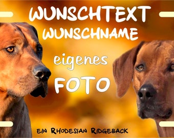 Hundeschild Metallschild Türschild Blechschild Warnschild mit eigenem Foto und Text/Spruch