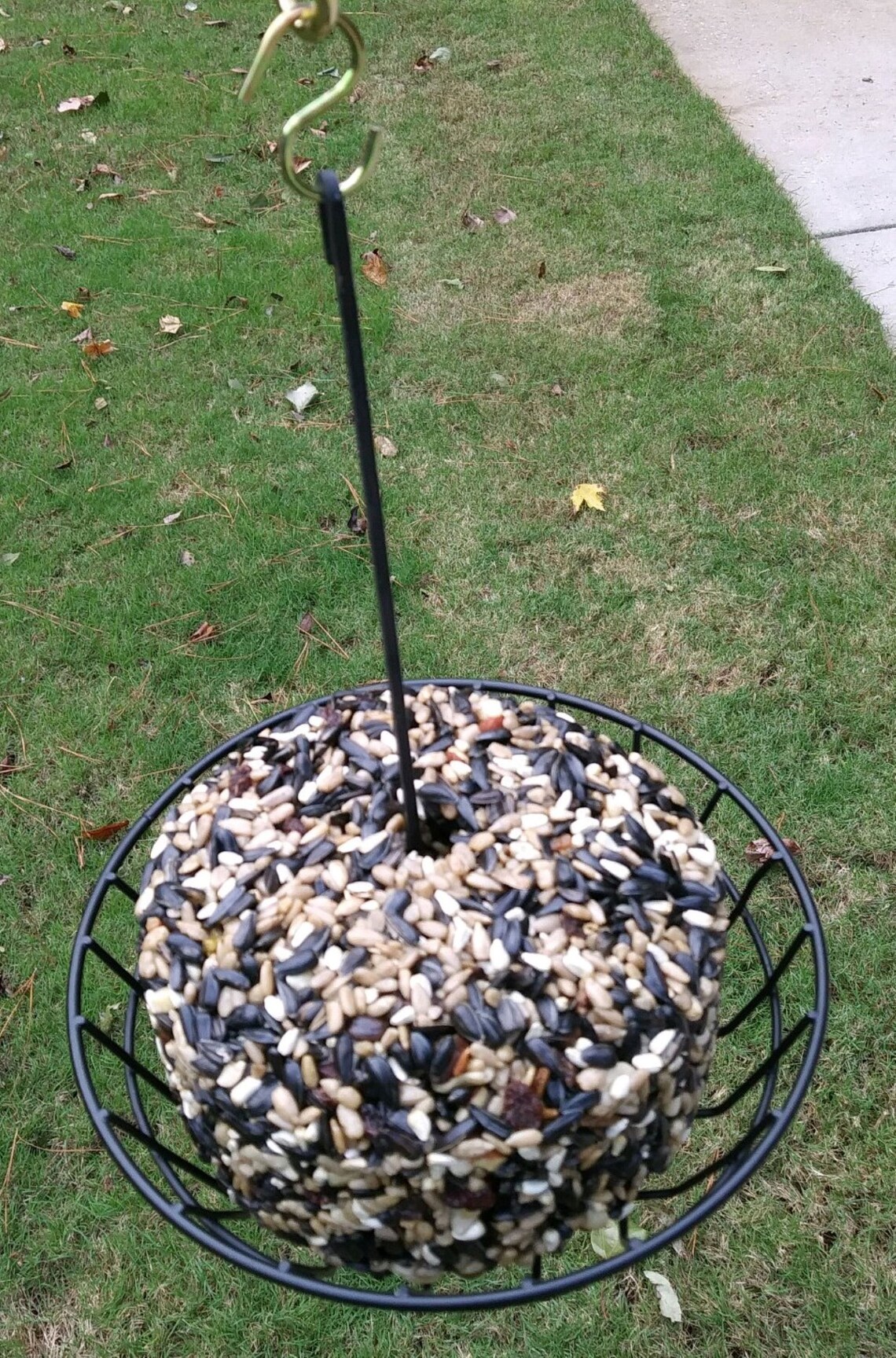 Backyard Tailz Basket Feeder for Suet Balls or Seed Cylinders Etsy