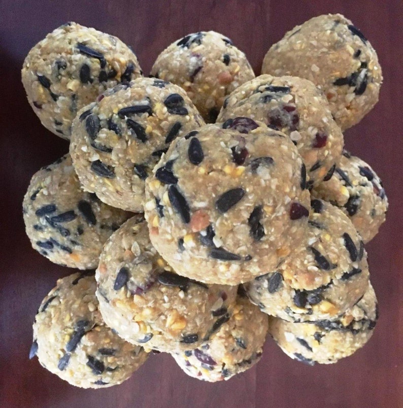 Handmade Wild Bird Suet Balls 4 Dia. FREE SHIPPING Etsy