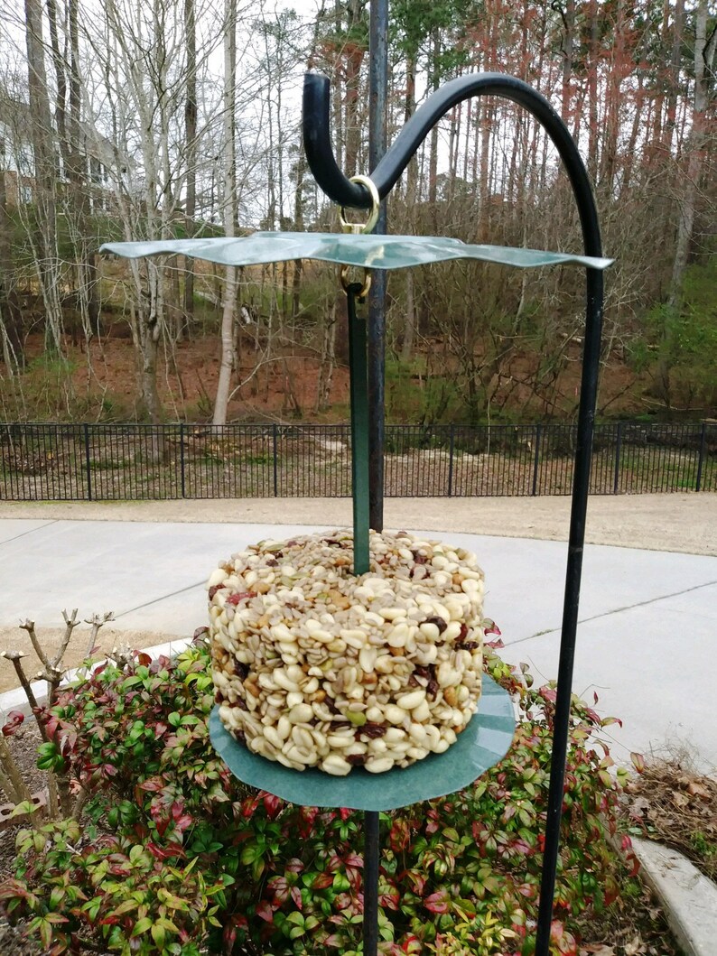 Wild Bird Seed Cylinder/cake No Waste Just Nuts Pick Your Etsy