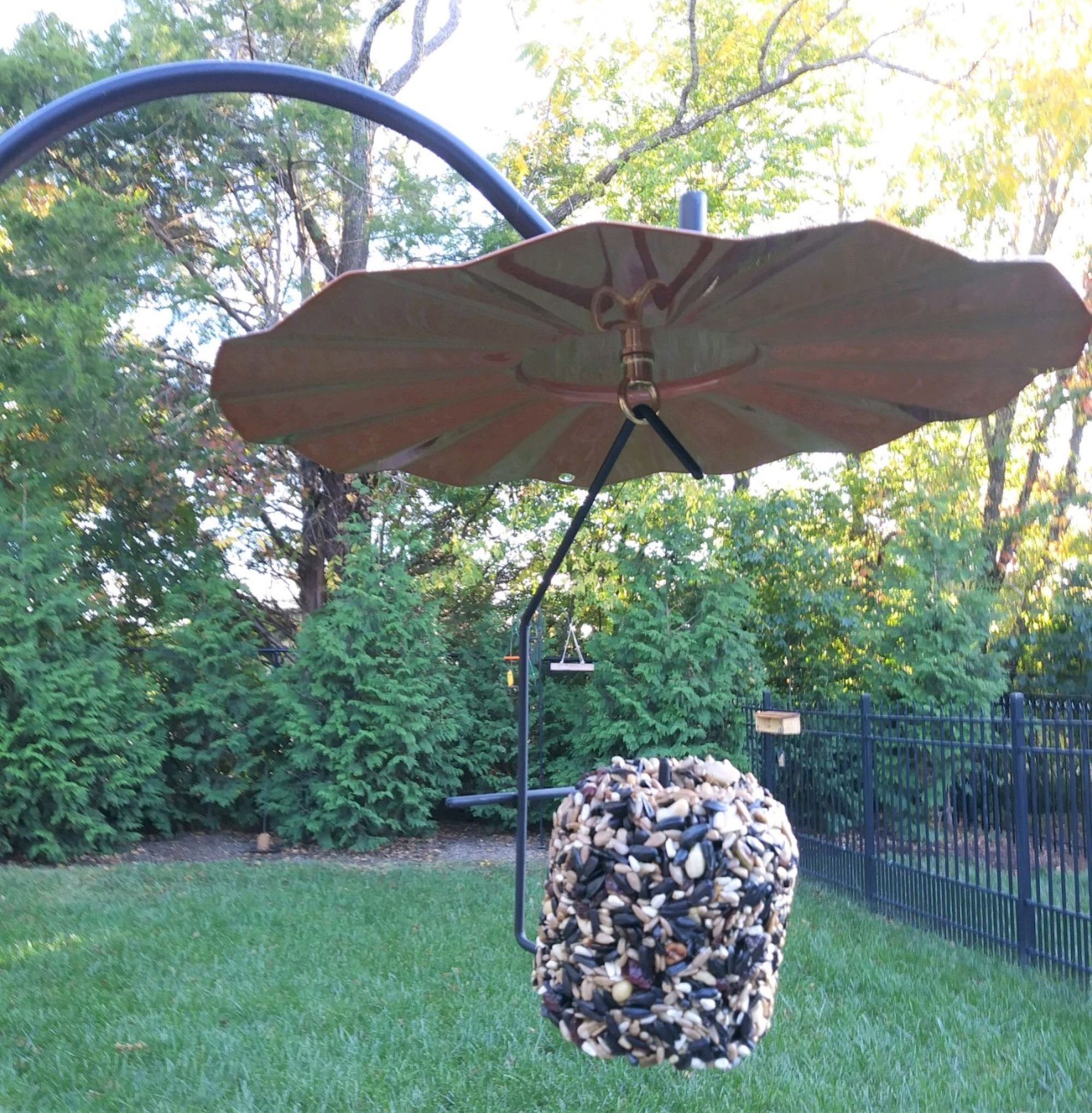 Wild Bird Seed Cylinder Feeder Empty Nest Brand Great for Etsy