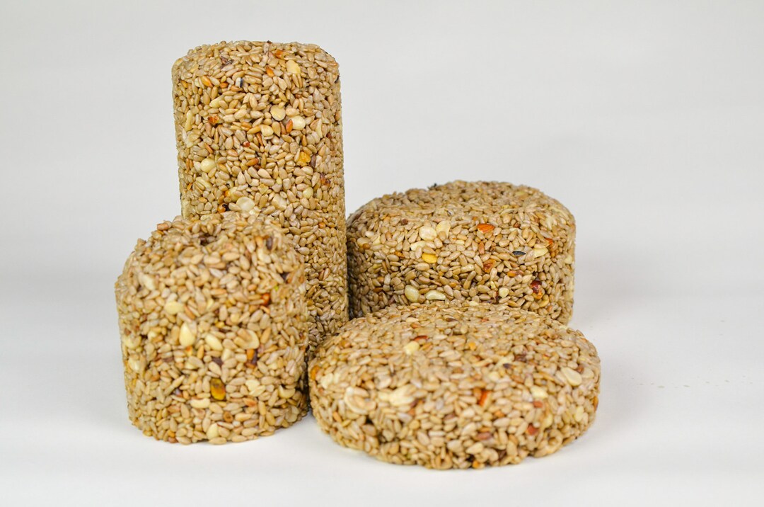 Wild Bird Seed Cylinder/cake No Waste Just Nuts Pick Your Etsy