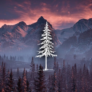 Evergreen Elegance: Fir Tree Vinyl Decal for Cars and More
