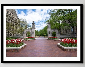Indiana University Sample Gates Photo: Red Tulips, Ready to Hang
