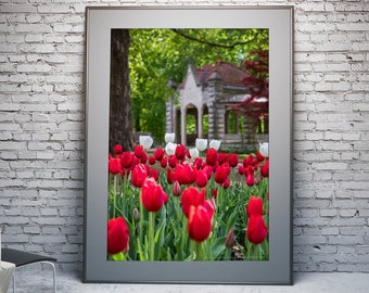 Indiana University Framed Print: Sample Gates Fall Scene