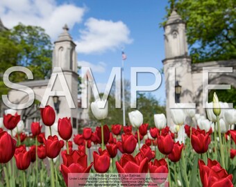Indiana University DIGITAL PHOTO DOWNLOAD - 5 Images of the Sample Gates - Video Conference Background - 1920x1080